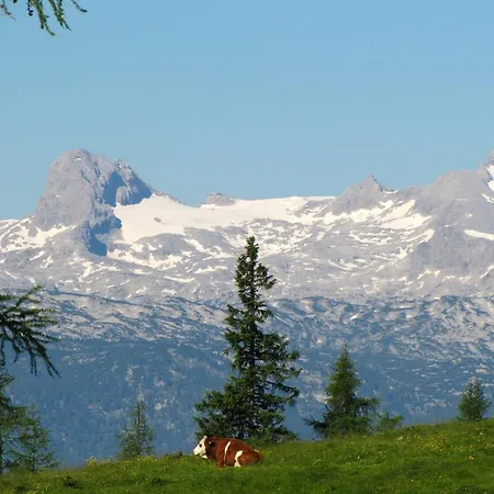 Отель Berghof Tauplitzalm