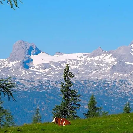 Hotel Tauplitzalm Tauplitzalm