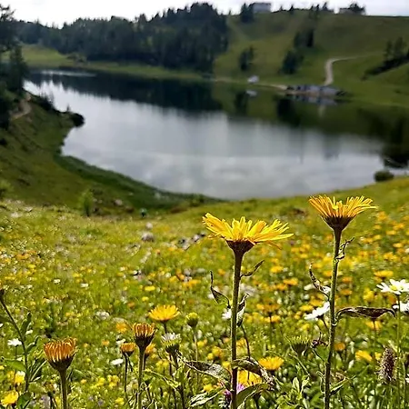 Hotel Tauplitzalm Hotel 3*