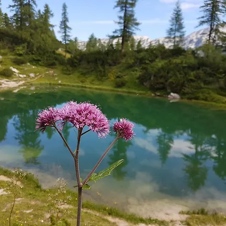 Berghof 3* Tauplitzalm