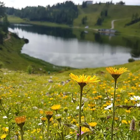 Hotel Tauplitzalm