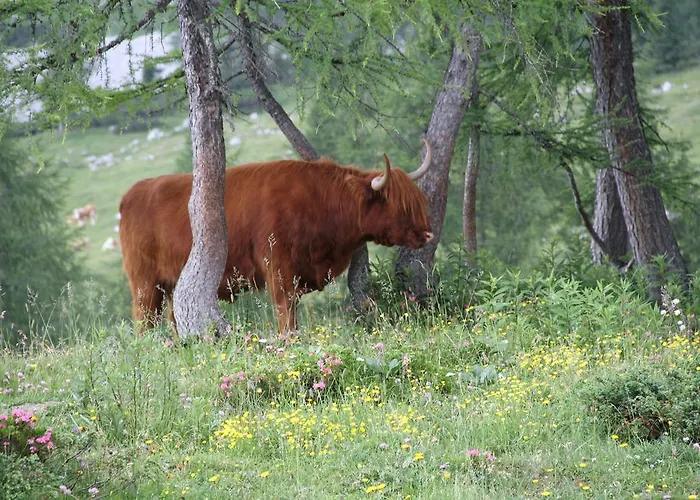 伯格霍夫陶普利匝尔酒店