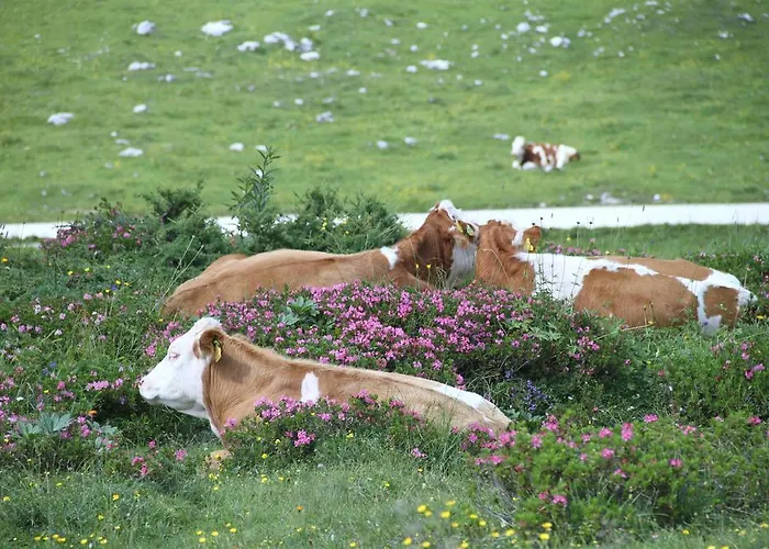 伯格霍夫陶普利匝尔酒店 3*