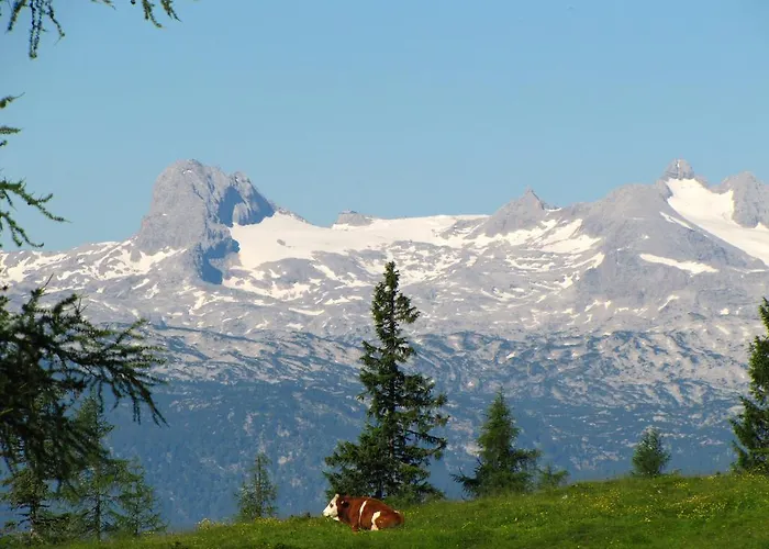 Hotel Hotel Tauplitzalm