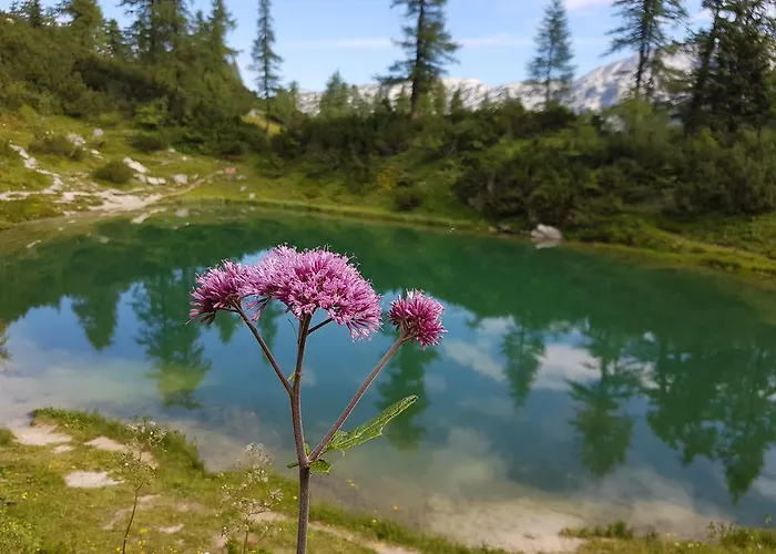 Berghof 3* Tauplitzalm